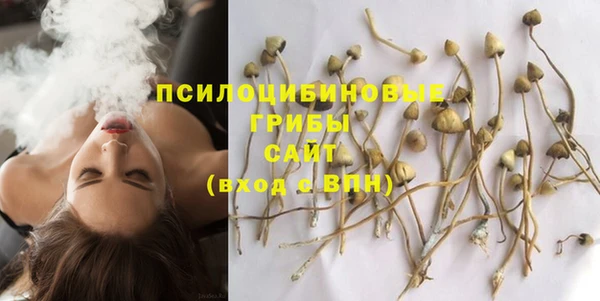 ECSTASY Алексин
