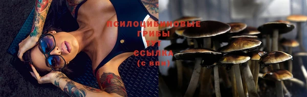 гашик Алзамай